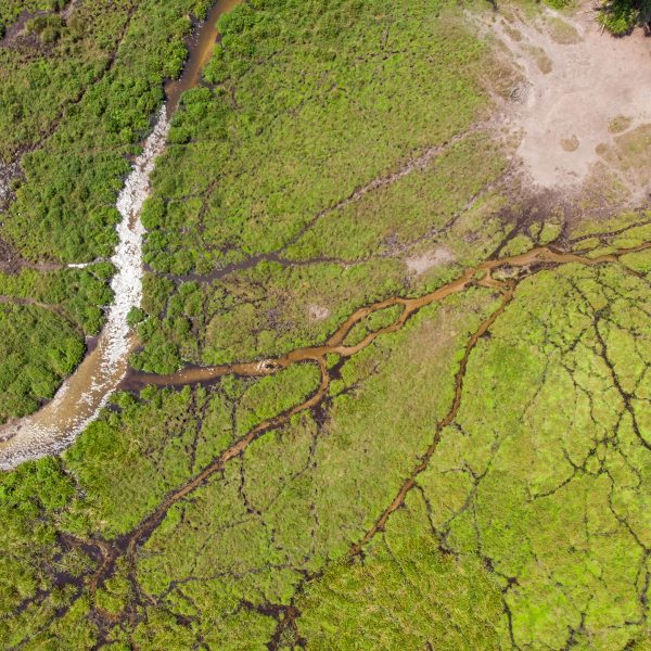 An aerial view of the water system in the Congo Basin