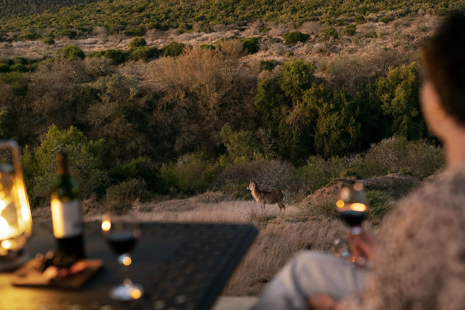 KWANDWE PRIVATE GAME RESERVE – Great Fish River Lodge – Evening-drinks-on-the-deck