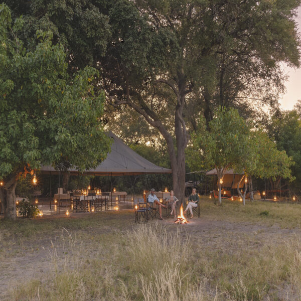 beagle expeditions magwegwe camp mess tent campfire 19