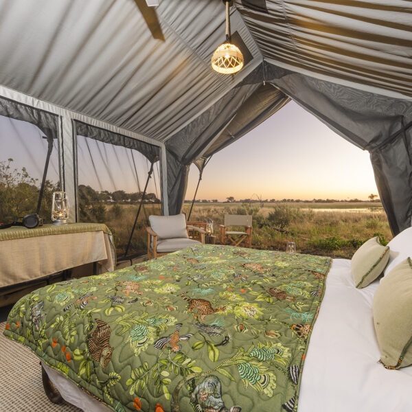 beagle expeditions magwegwe camp tents interior 26
