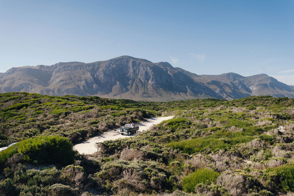 The sand, vegetation and mountains of the Walker Bay Nature Reserve