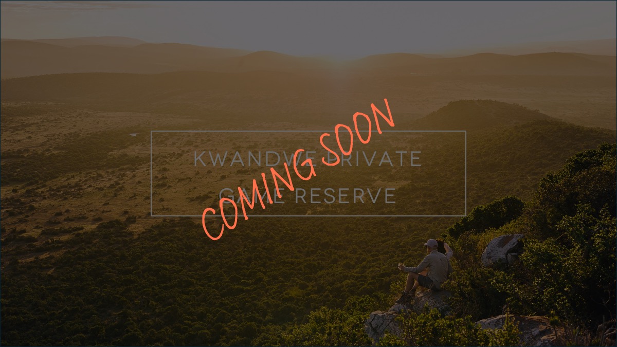 cpa kwandwe coming soon
