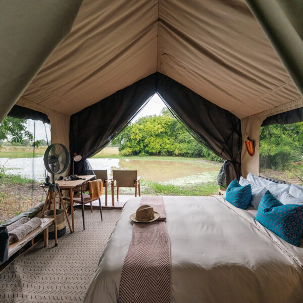 gorongosa safaris chicari camp safari tent interior and view 33