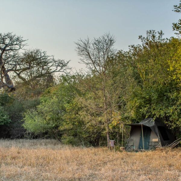GORONGOSA SAFARIS - Expedition Camp