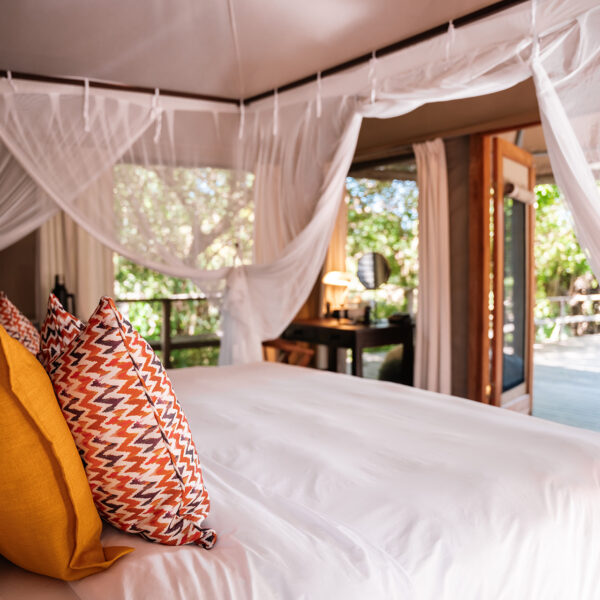 gorongosa safaris muzimu lodge tented suites interior view from bed 12