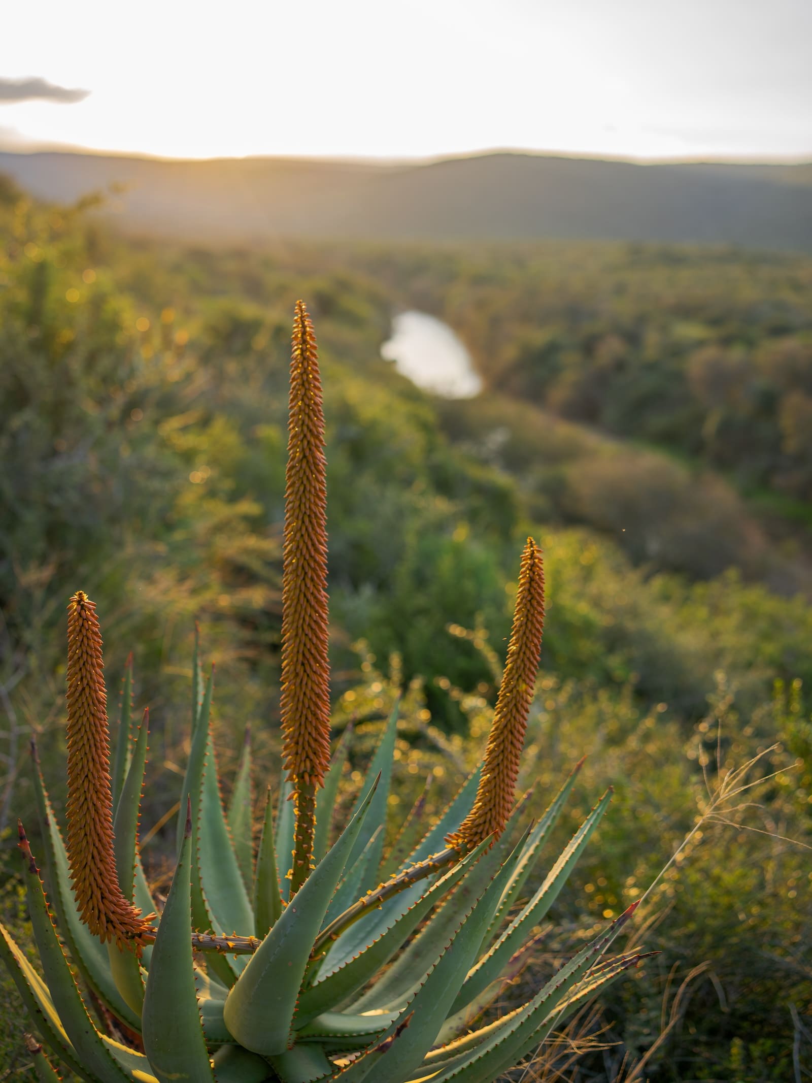 KWANDWE PRIVATE GAME RESERVE - Great Fish River Lodge - Exterior 10
