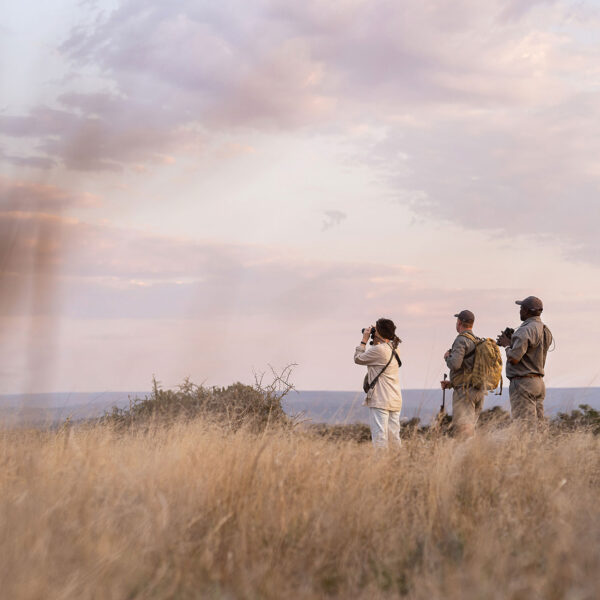 Guests look through binoculars while on a walking safari