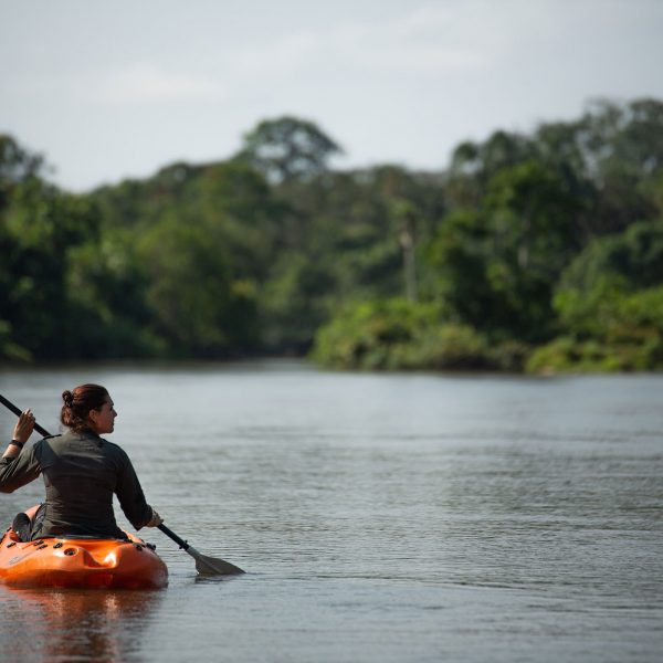 A guide kayaks through the rivers of the Congo