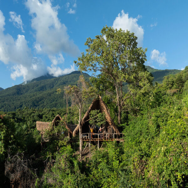 nomad tanzania greystoke, mahale bandas big waves from room 8