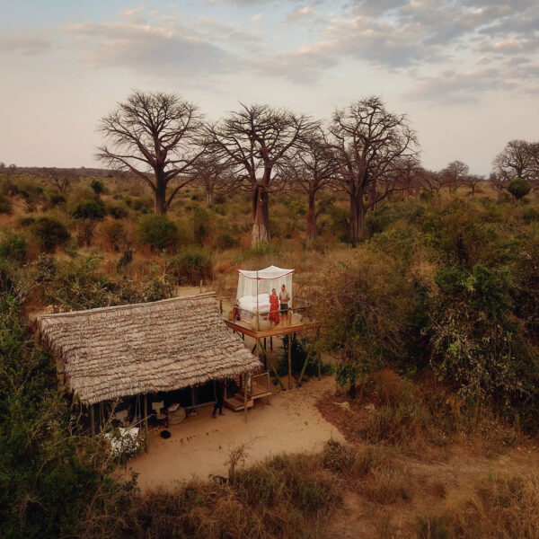 nomad tanzania kigelia, ruaha tents kigelia tents with private star bed