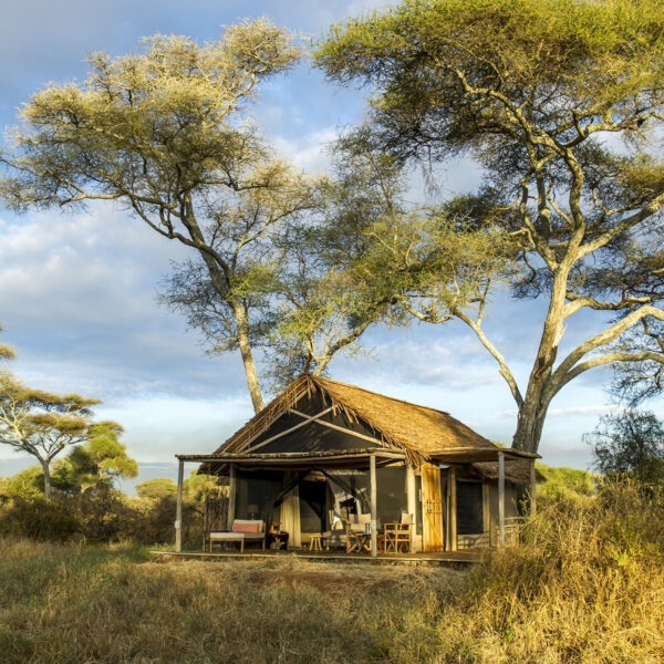 nomad tanzania kuro, tarangire tents luxury safari tents nestled in the trees