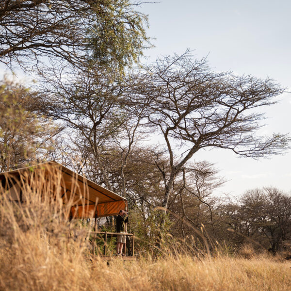 nomad tanzania kusini, serengeti tents 2