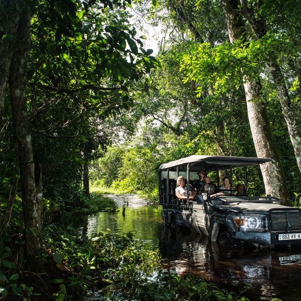 A vehicle moves through shallow waters of the jungle