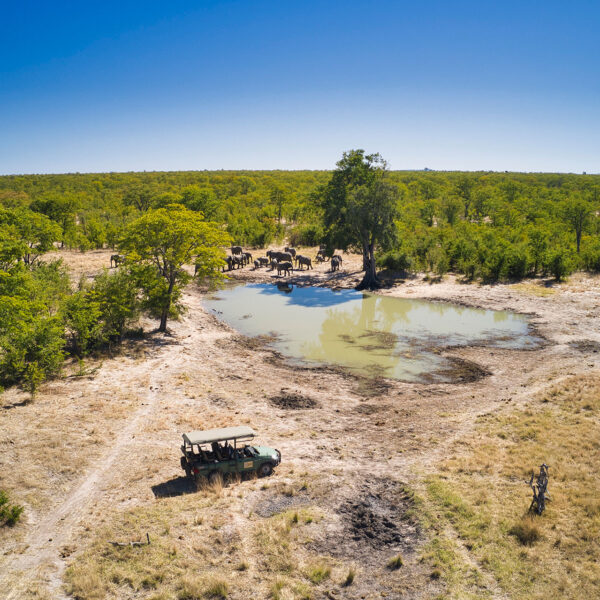 A game vehicle sits at a waterhole full of elephants