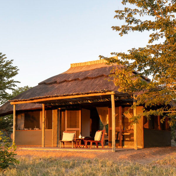 wild expeditions camp hwange tents extrior (3)