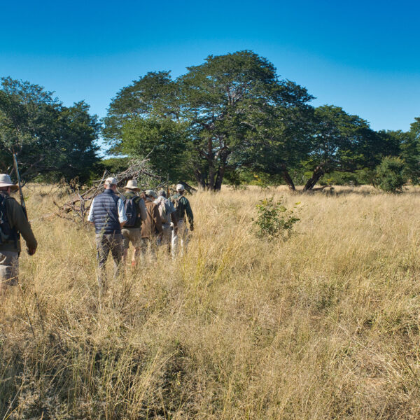 Guests on a walking safari