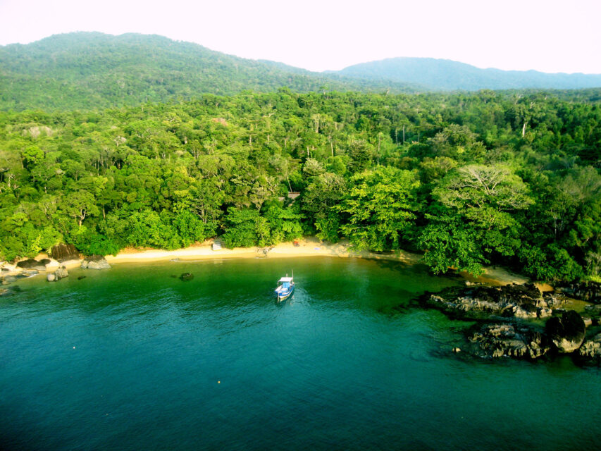 A boat is docked in a small bay next to the coastline with forest sitting right on the edge