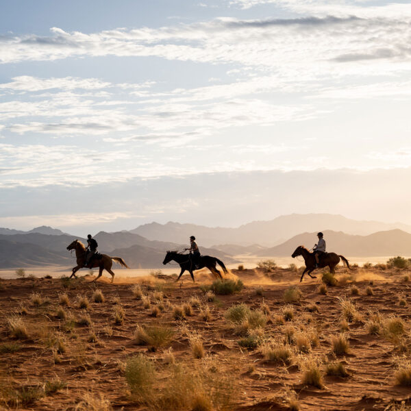 Guests trot on horseback through the red sand