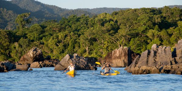 Two guests in yellow kayaks rowing out to sea with green lush forest in background